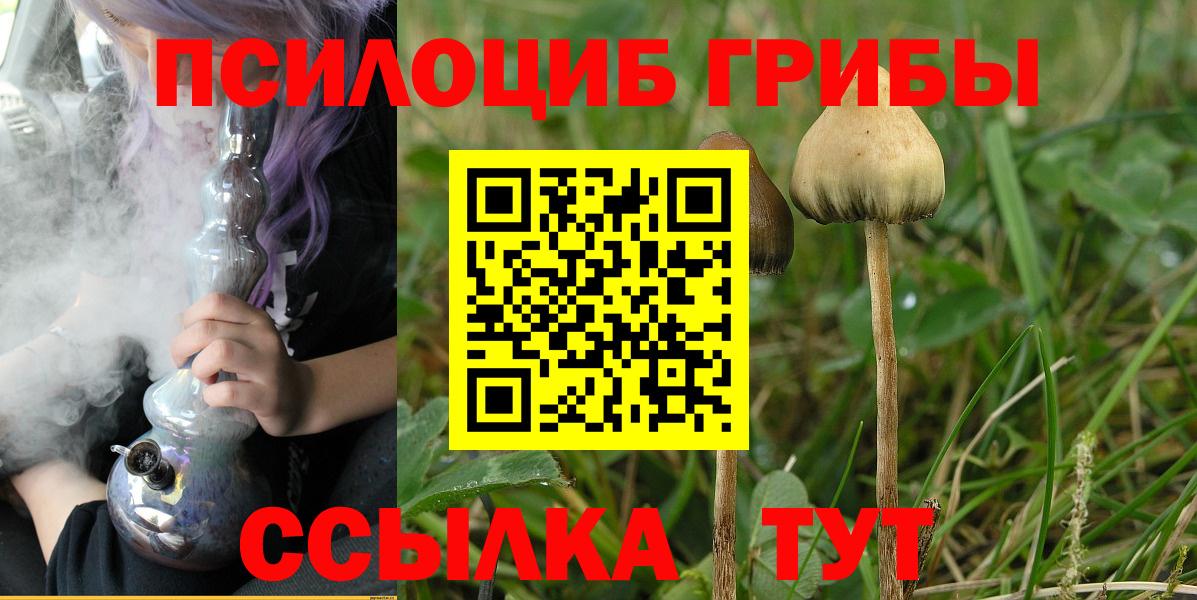 Псилоцибиновые грибы Psilocybe  Вход с VPN  Псилоцибиновые грибы Magic Shrooms  Октябрьский 